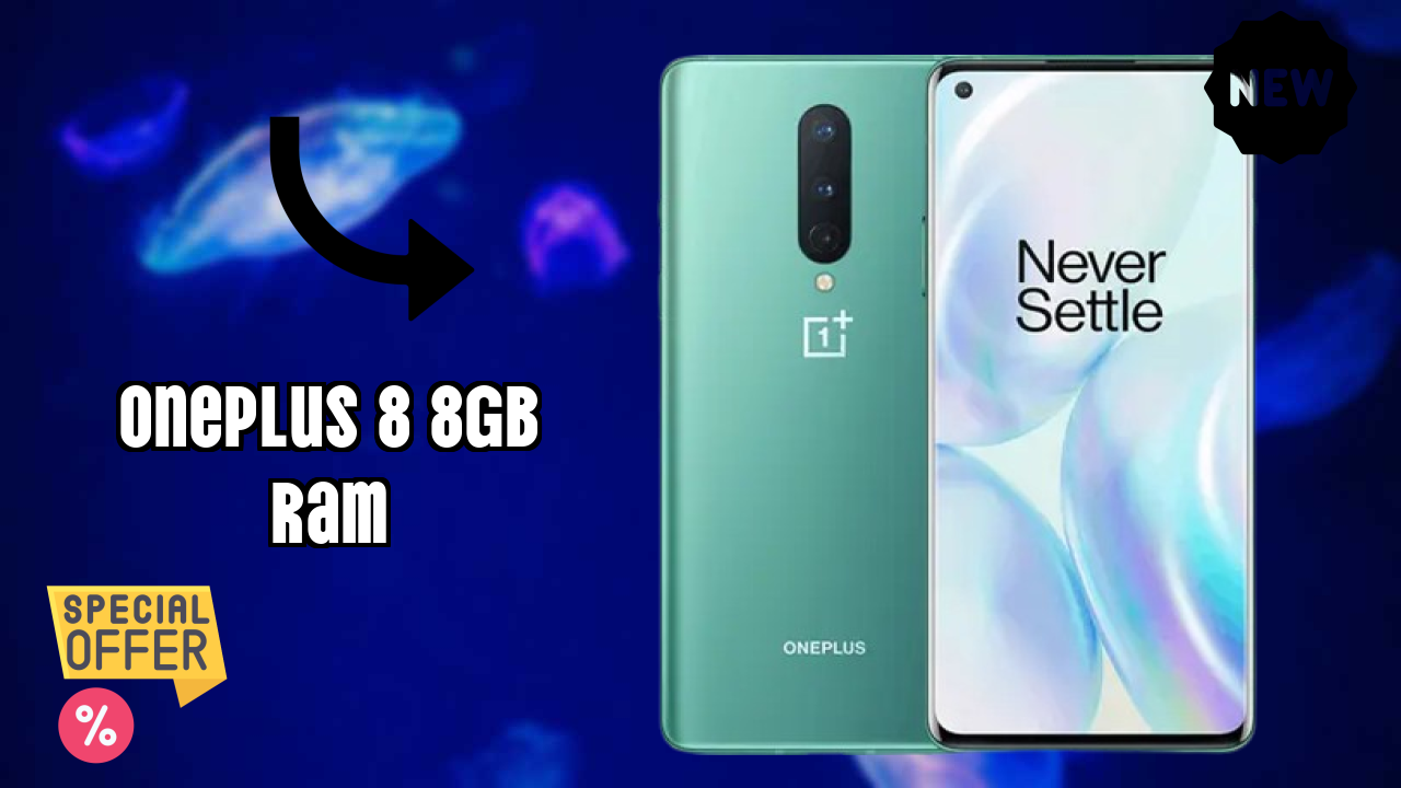 OnePlus 8 8GB RAM Camera Test: 48 MP + 16 MP + 2 MP Rear Camera Sample Photos